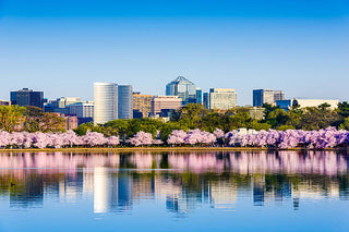 US cities with highest crime rate 